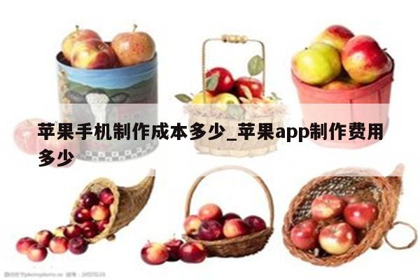 苹果手机制作成本多少_<strong>苹果app</strong>制作费用多少
