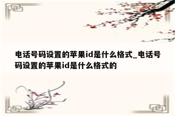 电话号码设置的<strong>苹果id</strong>是什么格式_电话号码设置的<strong>苹果id</strong>是什么格式的