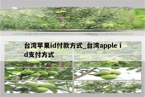 台湾<strong>苹果id</strong>付款方式_台湾apple id支付方式