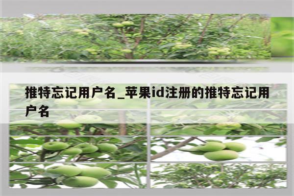 推特忘记用户名_<strong>苹果id</strong>注册的推特忘记用户名