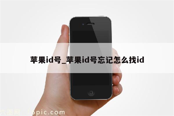 <strong>苹果id</strong>号_<strong>苹果id</strong>号忘记怎么找id