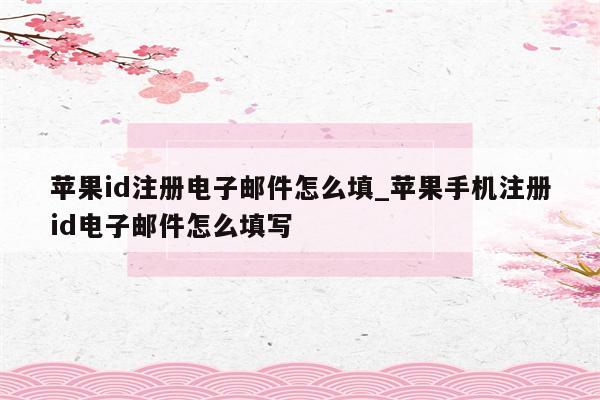 <strong>苹果id</strong>注册电子邮件怎么填_苹果手机注册id电子邮件怎么填写