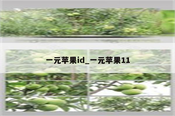 一元<strong>苹果id</strong>_一元苹果11