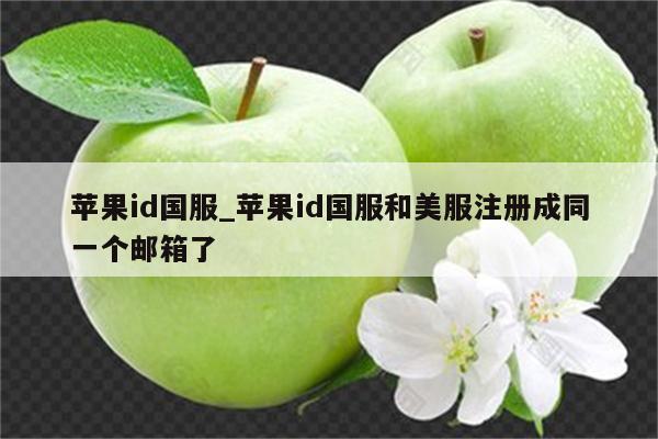<strong>苹果id</strong>国服_<strong>苹果id</strong>国服和美服注册成同一个邮箱了