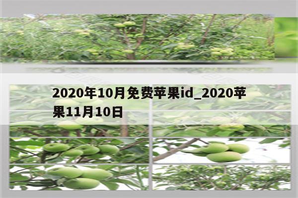 2020年10月免费<strong>苹果id</strong>_2020苹果11月10日