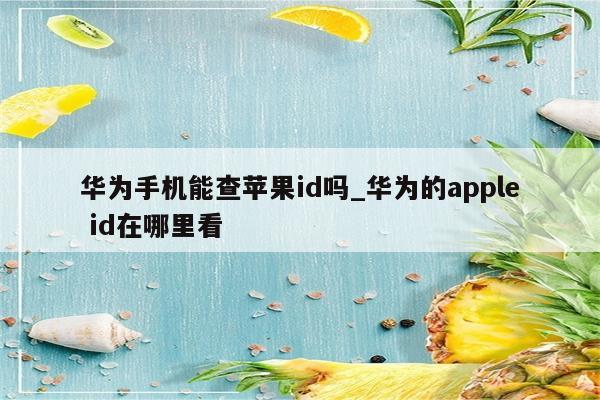 华为手机能查<strong>苹果id</strong>吗_华为的apple id在哪里看
