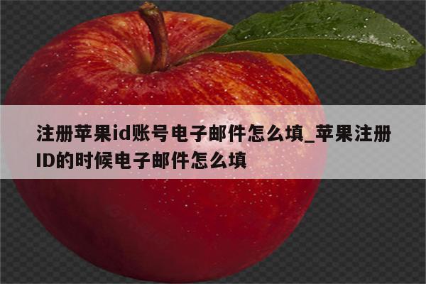 注册<strong>苹果id</strong>账号电子邮件怎么填_苹果注册ID的时候电子邮件怎么填