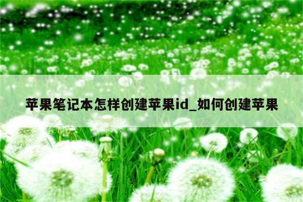 苹果笔记本怎样创建<strong>苹果id</strong>_如何创建苹果